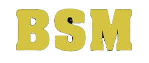 BSM – Zaun- & Torsysteme